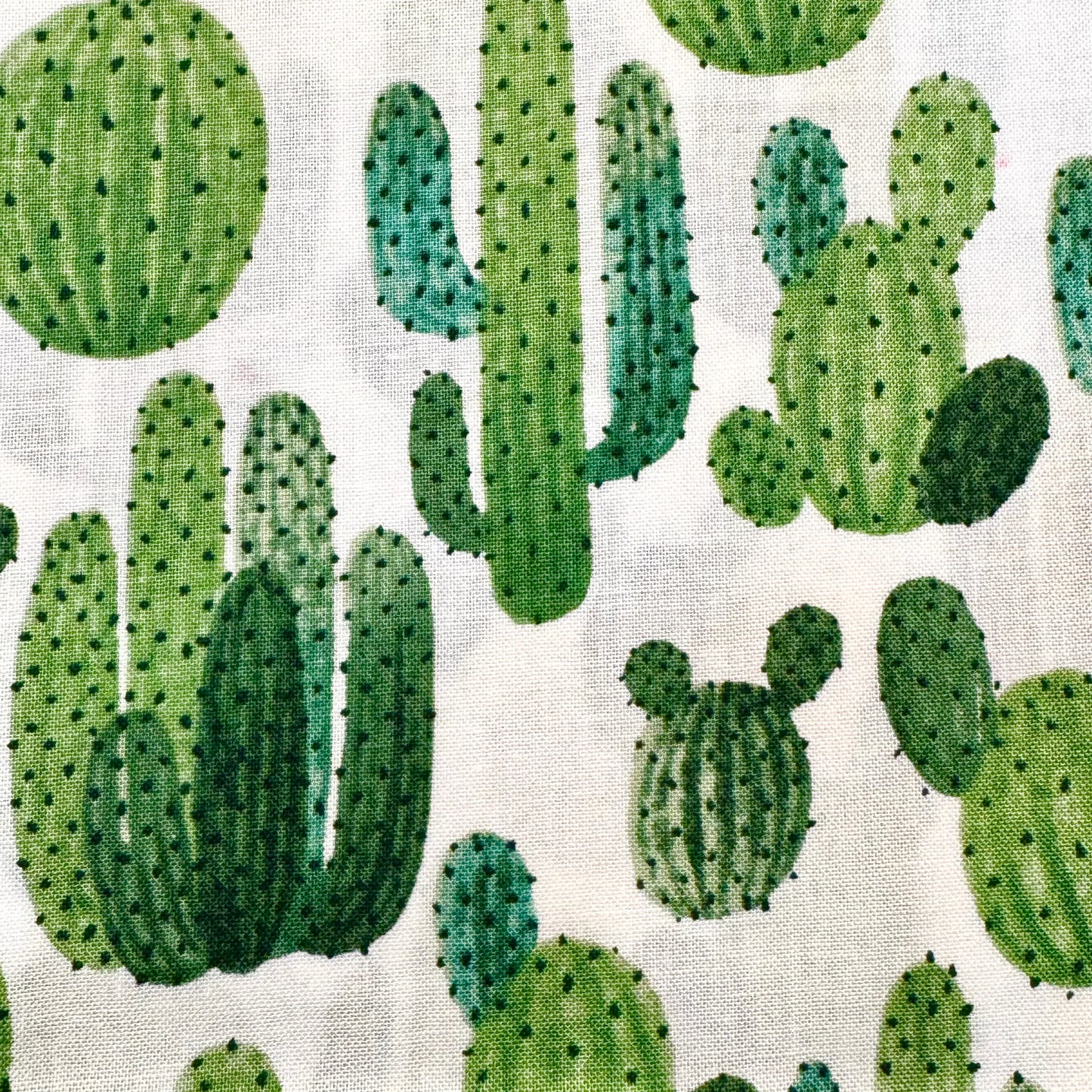 Cactus Printed Bundle