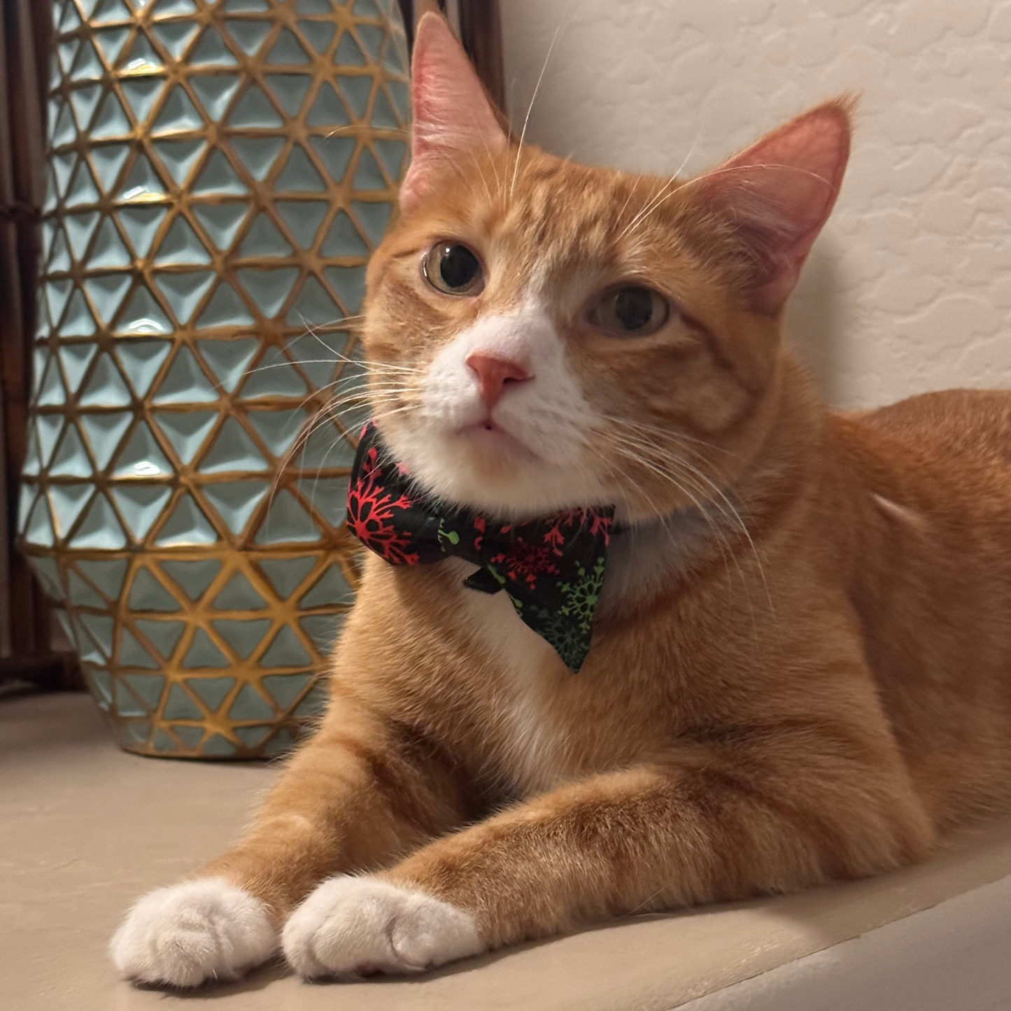 Bow Tie Subscription