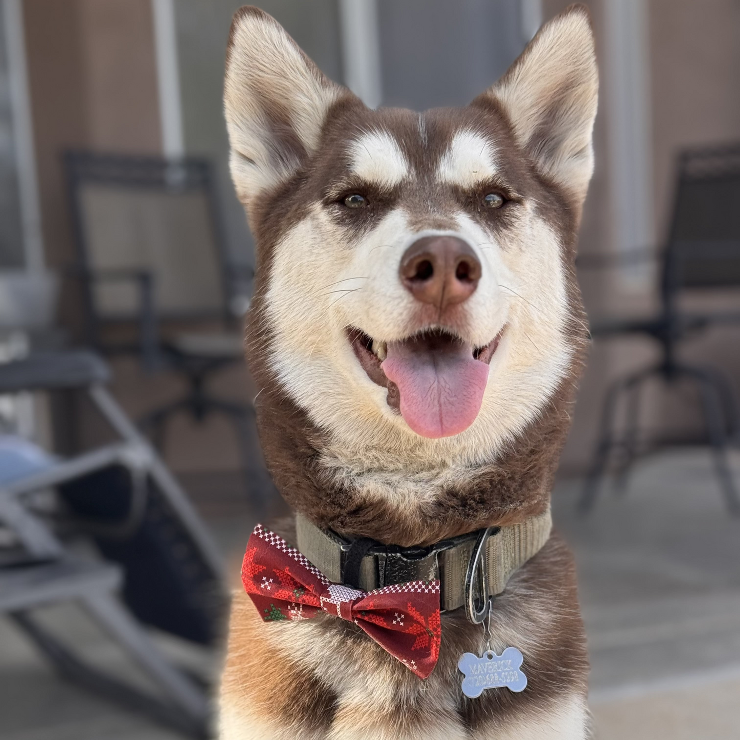 Bow Tie Subscription