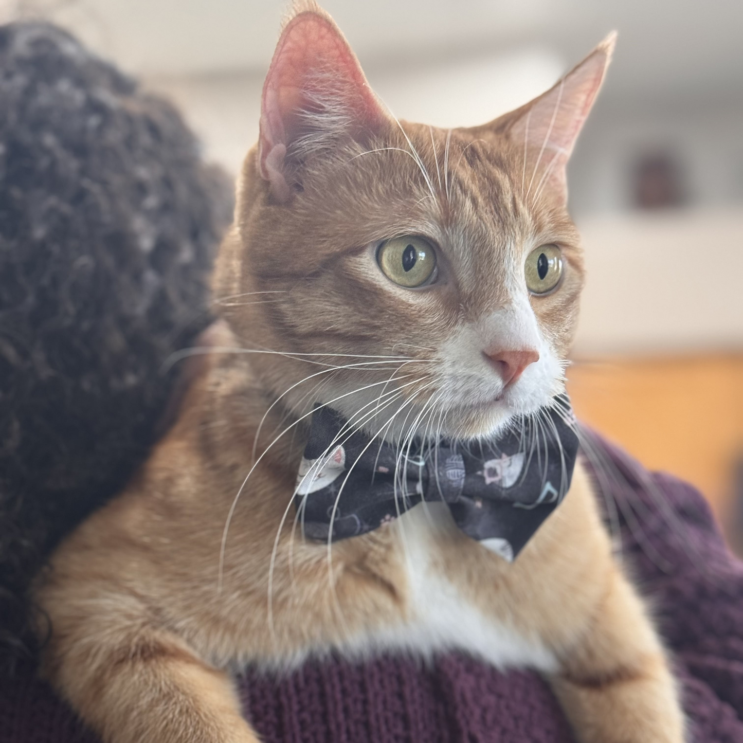 Bow Tie Subscription